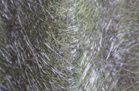 Ure Bank fibreglass roof work